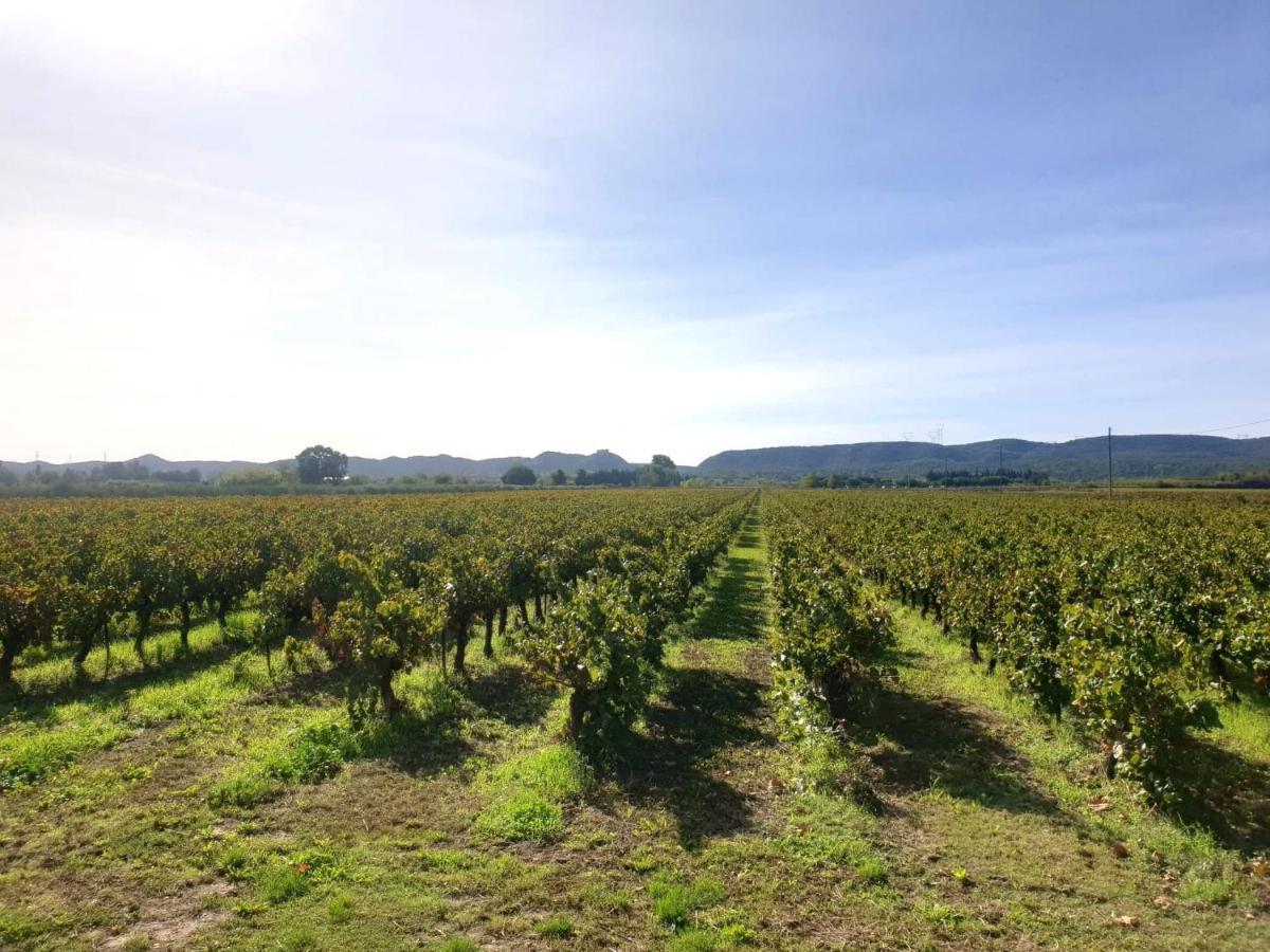 Domaine De Sevanes Saint-Paul-les-Fonts Ngoại thất bức ảnh