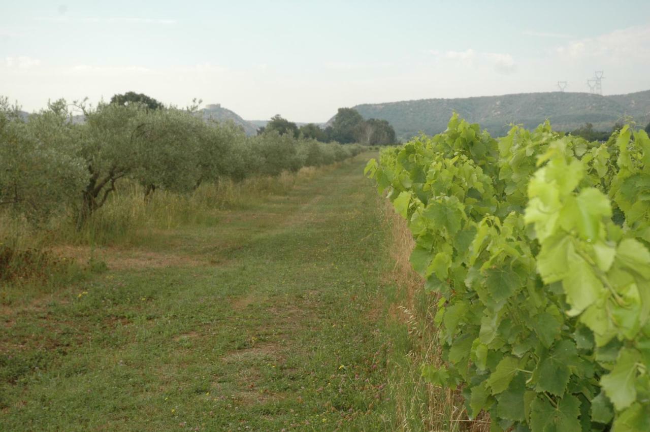 Domaine De Sevanes Saint-Paul-les-Fonts Ngoại thất bức ảnh